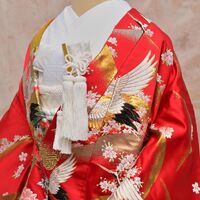 画像2236