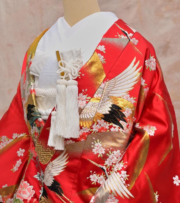 画像2236