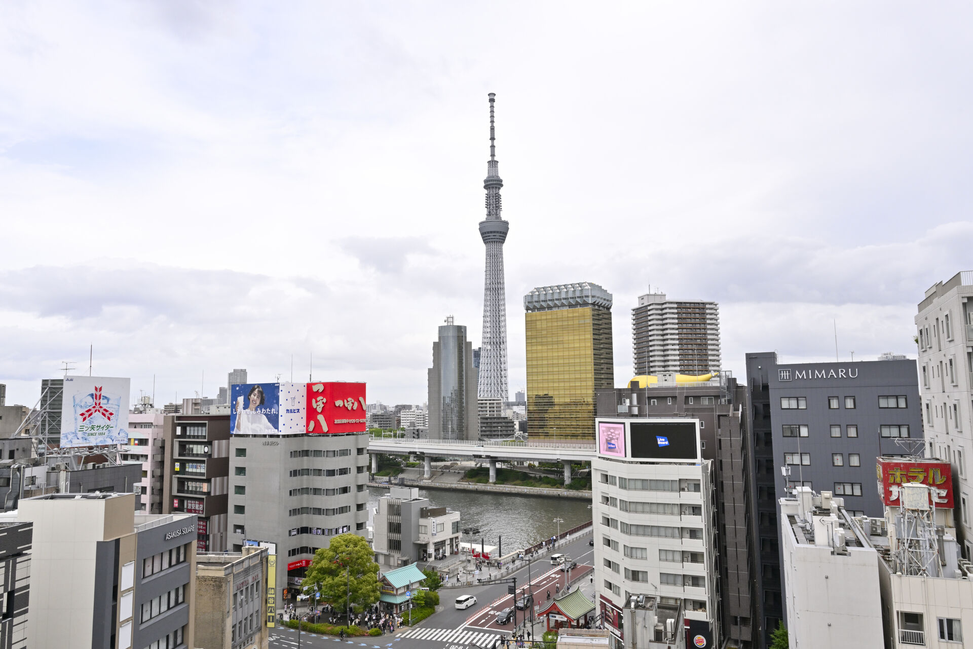 _AAA3002.JP